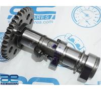 Assemblaggio Dell'Albero A Camme Compatibile Con KTM Duke 390 RC 390 2013-2023