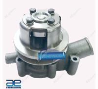 Assemblaggio Pompa Dell'Acqua Heavy Duty Con Puleggia Doppia Per Power Trac AVL