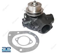 Assemblaggio Pompa Dell'Acqua Per Perkins P-6 QHL AEs