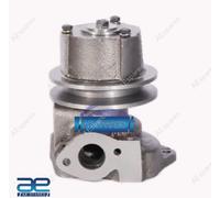 Assemblaggio Pompa Dell'Acqua Per Swaraj 724 XM 313040A 713040A 7133575A