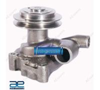 Assemblaggio Pompa Dell'Acqua Per Swaraj 939 P070350 AEs