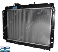 Assemblaggio Radiatore Per Mahindra Roxor 0304AAB01111N