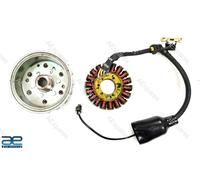 Assemblaggio Stator E Rotore Per Royal Enfield Himalayan BS4 Modello Moto