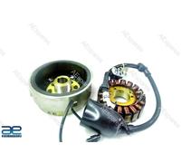 Assemblaggio Stator E Rotore Per Royal Enfield Himalayan Modello BS3 574381/C