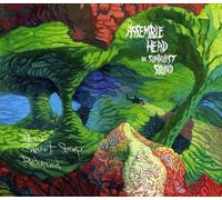 Assemble Head In Sunburst Soun - When Sweet Sleep Returned