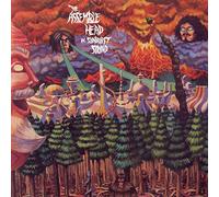 Assemble Head in Sunburst Sound - Ekranoplan