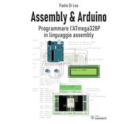 Assembly & Arduino. Programmare l'ATmega328P in linguaggio assembly
