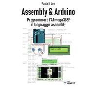 Assembly & Arduino. Programmare l'ATmega328P in linguaggio assembly