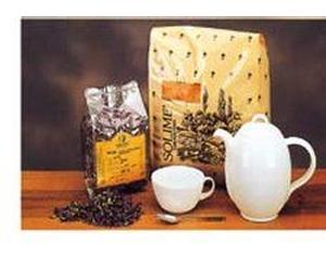 ASSENZIO ROMANO SOMMITA TT100G