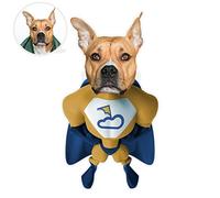 ASSIALL Cuscino Viso Personalizzato Mini Me Cuscini Personalizzati a Forma di Persona Bambola Fumetto con Stampa Fronte-Retro 3D Divano Auto Poli Cotone Lancia Cuscino Ornamento Casa (Super)