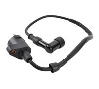 Assieme Bobina di Accensione Compatibile Con Kymco Agility 50 | Adatto per Kymco Like 125, Super 8 125, Filly, Agility People S 50 ; N. parte 3051A-KHC4-900