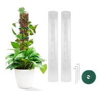Assistente rampicante delle piante, Bastone Muschiato per Piante, Moss Pole Monstera - Bastoncini per Muschio, 24 Pollici, in plastica, per Piante in Vaso per Interni, Philodendron Creepers (2PCS)