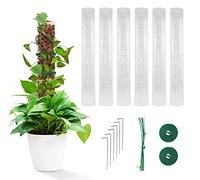 Assistente rampicante delle piante, Bastone Muschiato per Piante, Moss Pole Monstera - Bastoncini per Muschio, 24 Pollici, in plastica, per Piante in Vaso per Interni, Philodendron Creepers (6PCS)