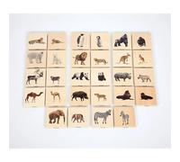 Associazioni Mamme-Cuccioli Selvaggi