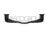 Assorbitore Paraurti Anteriore Inferiore In Plastica CITROEN C4 2004-2008 7414JY