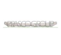 Assorbitore Paraurti Anteriore Inferiore In Plastica Nissan Qashqai (j10) 06/10
