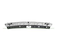 Assorbitore Paraurti Anteriore Inferiore Plastica MG HS Dal 08/2022 Al 06/2024
