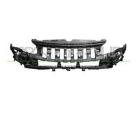 Assorbitore Paraurti Anteriore Per Citroen Berlingo Dal 2008 Al 2011 Ci9181012