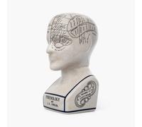 Assorted Collections Phrenology - Testa ornamentale in ceramica da collezione, stile retrò, busto 23 cm