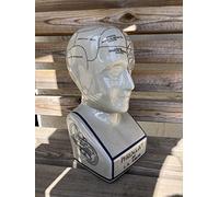 Assorted Collections Testa Phrenology Extra Large - 12 Ceramic by N/A