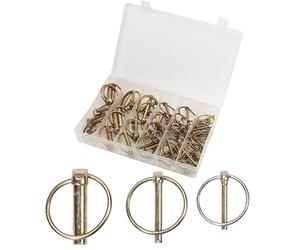 ASSORTIMENTO 50 SPINE SPINA A SCATTO COPPIGLIE FERMI PERNI SPINOTTI MM 5-6-8-11