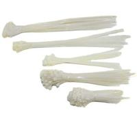Assortimento di 250 fascette di serraggio in plastica - tipo Colson