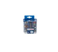 ASSORTIMENTO DI BULB BOSCH 1 987 301 113