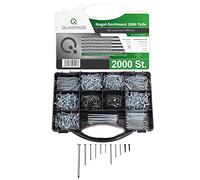 QUADRIOS GmbH - Set di chiodi in acciaio, 2000 pezzi, diversi chiodi per tappeti, chiodi per penna, perni in acciaio assortiti in valigetta (argento, nero) - fai da te o edilizia