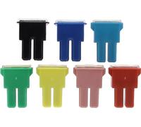 Assortimento di Fusibili Giapponese Femmina Tipo AS, 20A-100A, Confezione da 7