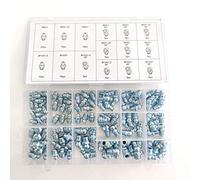 Assortimento di ingrassatore metrico, 110 pezzi, 15 varianti