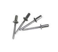 Assortimento di rivetti ciechi a estremità chiusa in acciaio inossidabile | Multiformato 20 pezzi. Utilizzo: chiusura sigillata(M3.2 X 10mm)