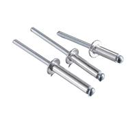 Assortimento di rivetti ciechi in lega alluminio | Argento M5 10/30/50 Pz: Condotto for Mobili In Metallo Fai Da Te(M5x20mm,10PCS)