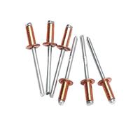 Assortimento di rivetti, Rivetto cieco M2.4 M3.2 M4 .8 Acciaio al carbonio rame Testa piatta tonda(5mm,M3.2(10Pcs))