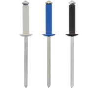 Assortimento di Rivetti verniciati per Targa di Immatricolazione, 4 x 16 mm, Set di 8