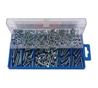 Assortimento Di Viti Panhead E Dadi Esagonali 366 Pezzi In Custodia 61272