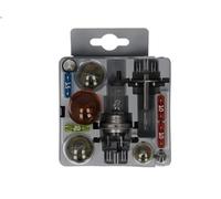 Assortimento lampadine BOSCH 1 987 301 120
