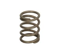 WABCO Molla a Compressione 8965144204