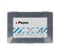Assortimento, tappi scarico olio PAYEN HL5192 per ARO 10 1.6 1986-1999