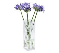 ASSRECT Vaso Vetro Trasparente 30cm Vaso di Vetro Quadrato Grande Vaso Fiori Vetro Alto Centrotavola Moderno Vaso Fiori in Stile Minimalista per la Casa, Soggiorno, Tavolo, Ufficio