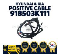 Assy cablaggio cavo batteria positivo ORIGINALE OEM Hyundai Kia 918503K111