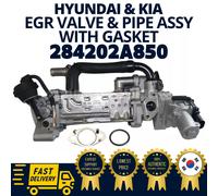 Assy radiatore tubo valvola EGR ORIGINALE OEM Hyundai Kia 284202A850 284162A850