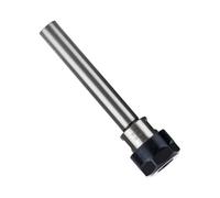 Asta di prolunga per mandrino a pinza, Mandrino portapinza di estensione con codolo cilindrico C10-ER8A C12-ER11 C16-ER16 C20-ER20 100/150m m 1 pz(C16-er11a-200l)
