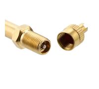 Asta di prolunga per valvola pneumatica, in rame, per camion e camion con design a doppia ruota, lunghezza 100 mm, strumento per auto, moto e battelli a vapore