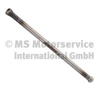 Asta di spinta BF 20100390650