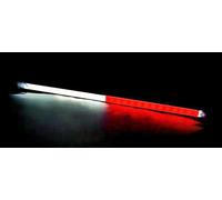 Asta interna LED 12/24V bandiera polacca cabina luce 500 mm custodia allumini...