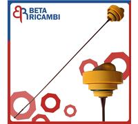 Asta Livello Olio Renault Clio II Kangoo Megane Scenic Laguna Astina Stecca 1.9