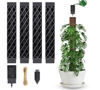 Asta per muschio Monstera, 4 bastoncini per piante rampicanti Monstera, 25 cm, con 1 ausilio per irrigazione, supporto per piante rampicanti come edera, traliccio con auto-irrigazione per piante da