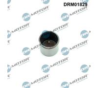 Asta pompa iniezione DRM01829 Dr.Motor Automotive per AUDI VW SEAT SKODA