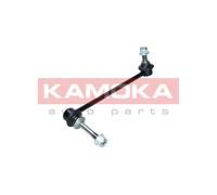 Asta/Puntone, Stabilizzatore Assale anteriore Sx per BMW 5 X5 X6