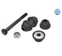 Asta/Puntone, Stabilizzatore Assale posteriore Sx per FORD VOLVO C-MAX C30 FOCUS